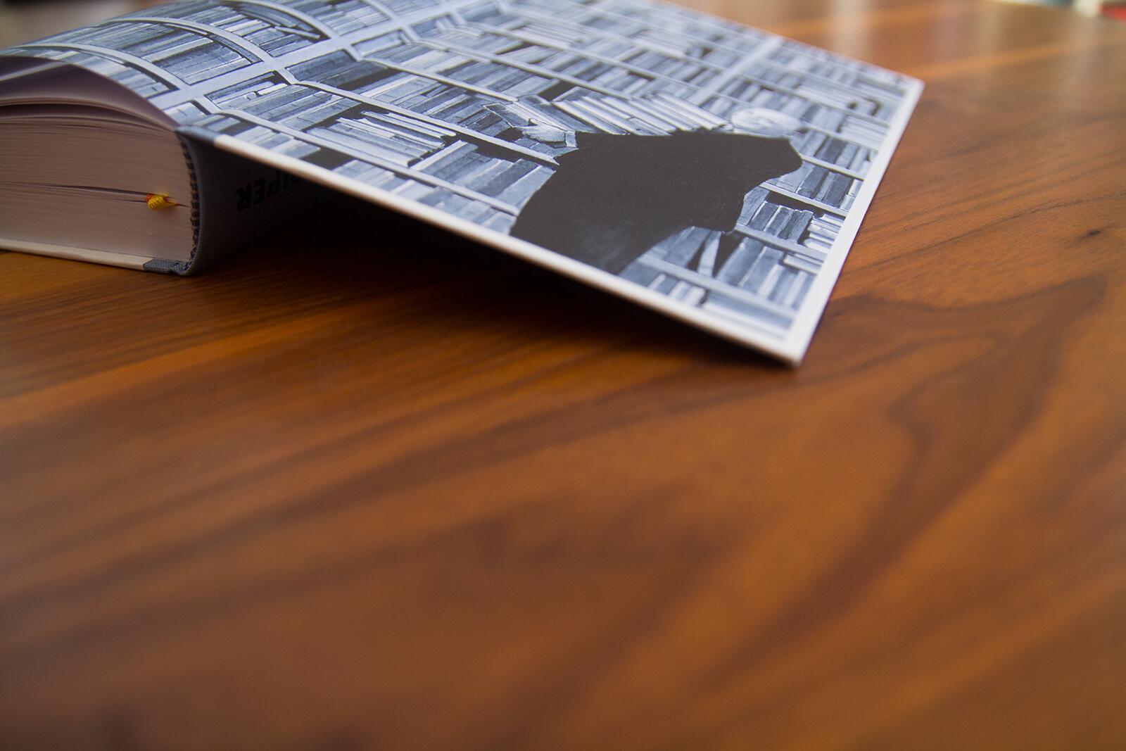 Beispielinhalt (Bild) Schecks Kanon