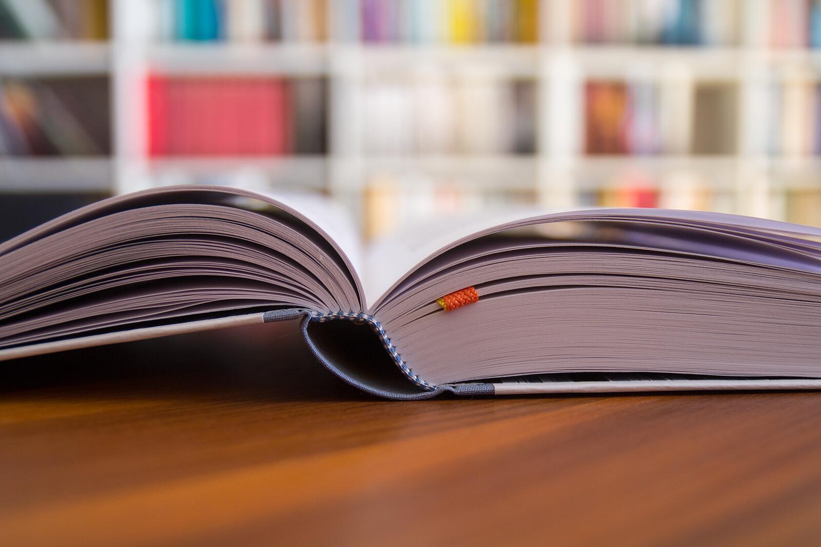 Beispielinhalt (Bild) Schecks Kanon