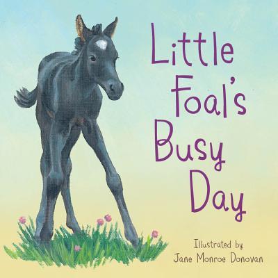 Vorderes Coverbild Little Foal's Busy Day