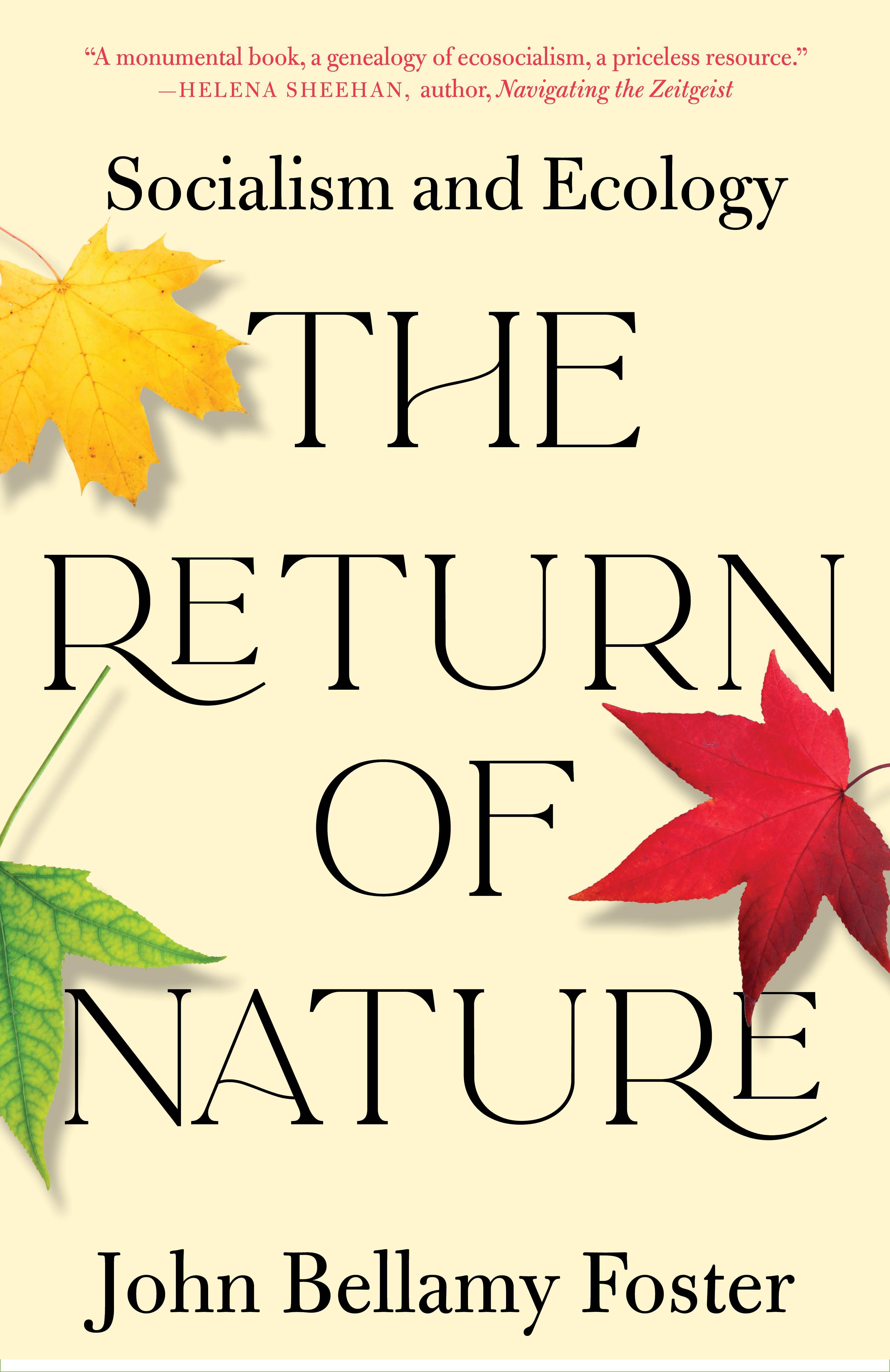 Vorderes Coverbild The Return of Nature