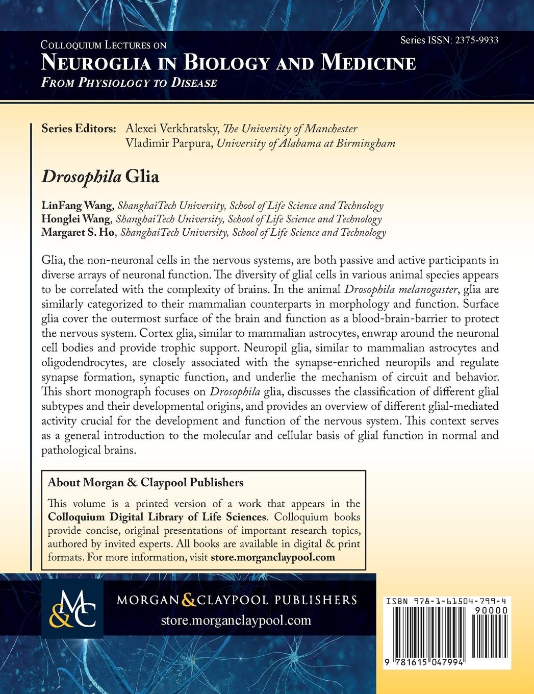 Rückseitencover Drosophila Glia