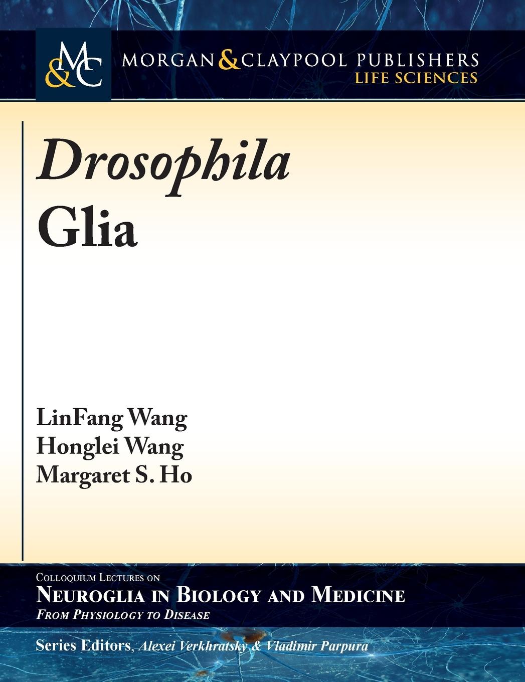 Vorderes Coverbild Drosophila Glia