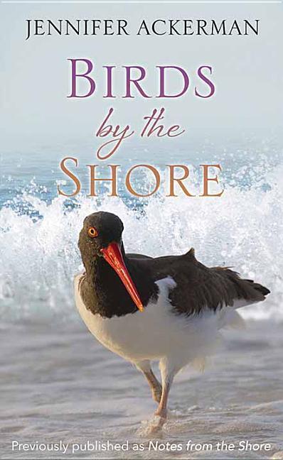 Vorderes Coverbild Birds by the Shore: Observing the Natural Life of the Atlantic Coast