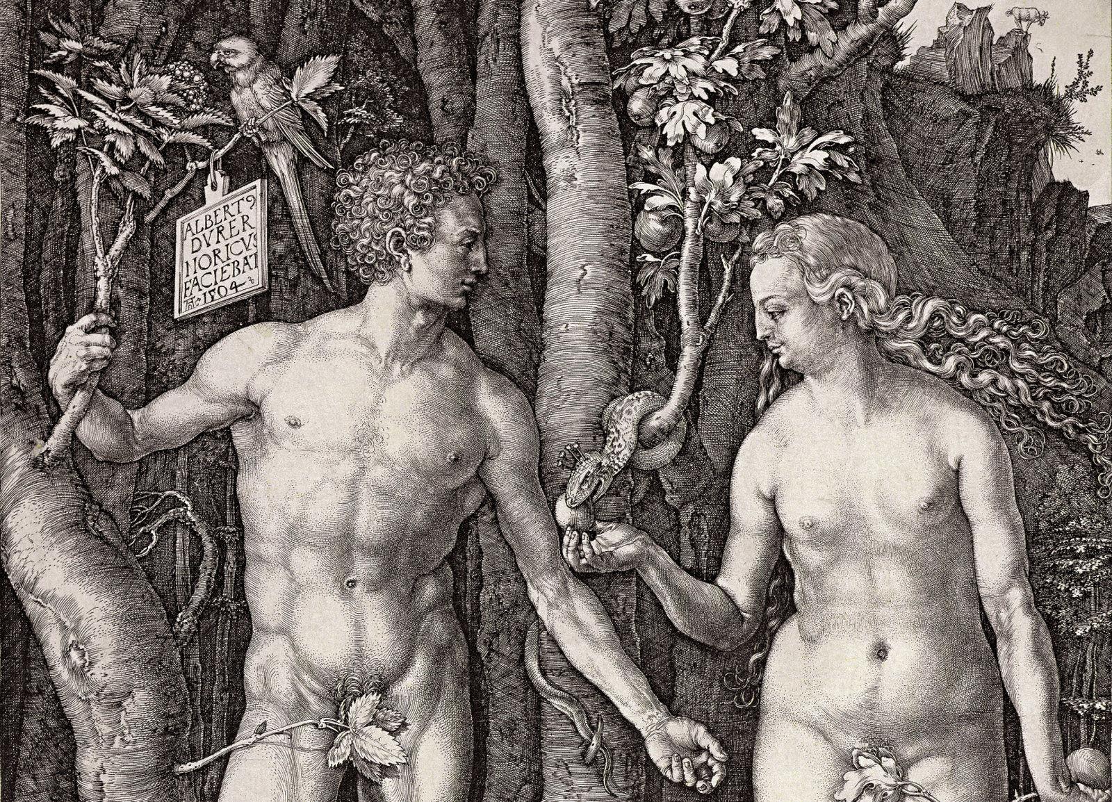 Beispielinhalt (Bild) Albrecht Dürer