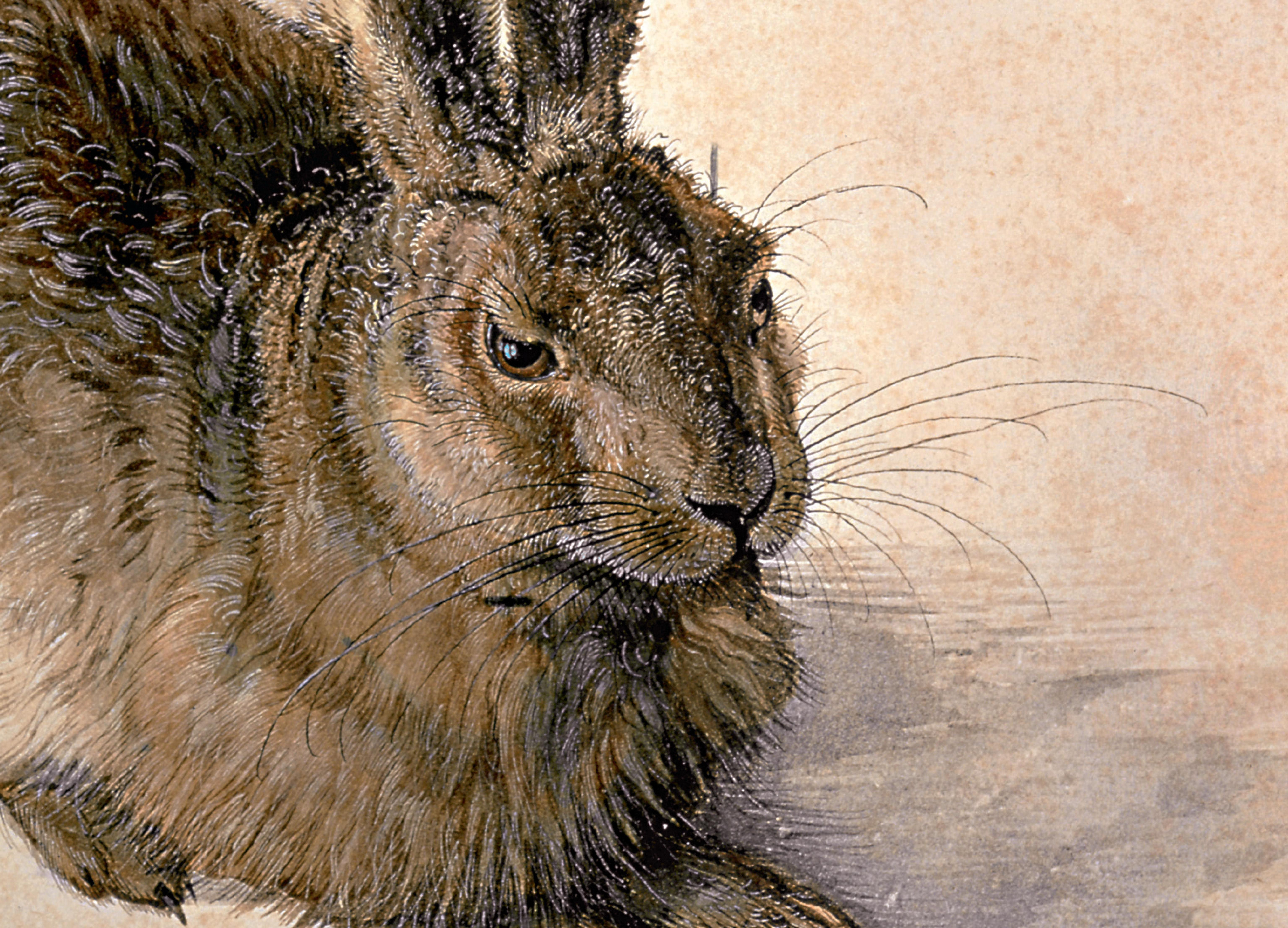 Beispielinhalt (Bild) Albrecht Dürer
