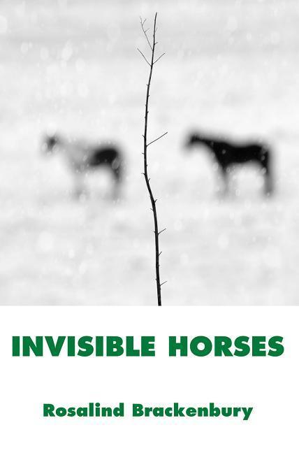 Vorderes Coverbild Invisible Horses