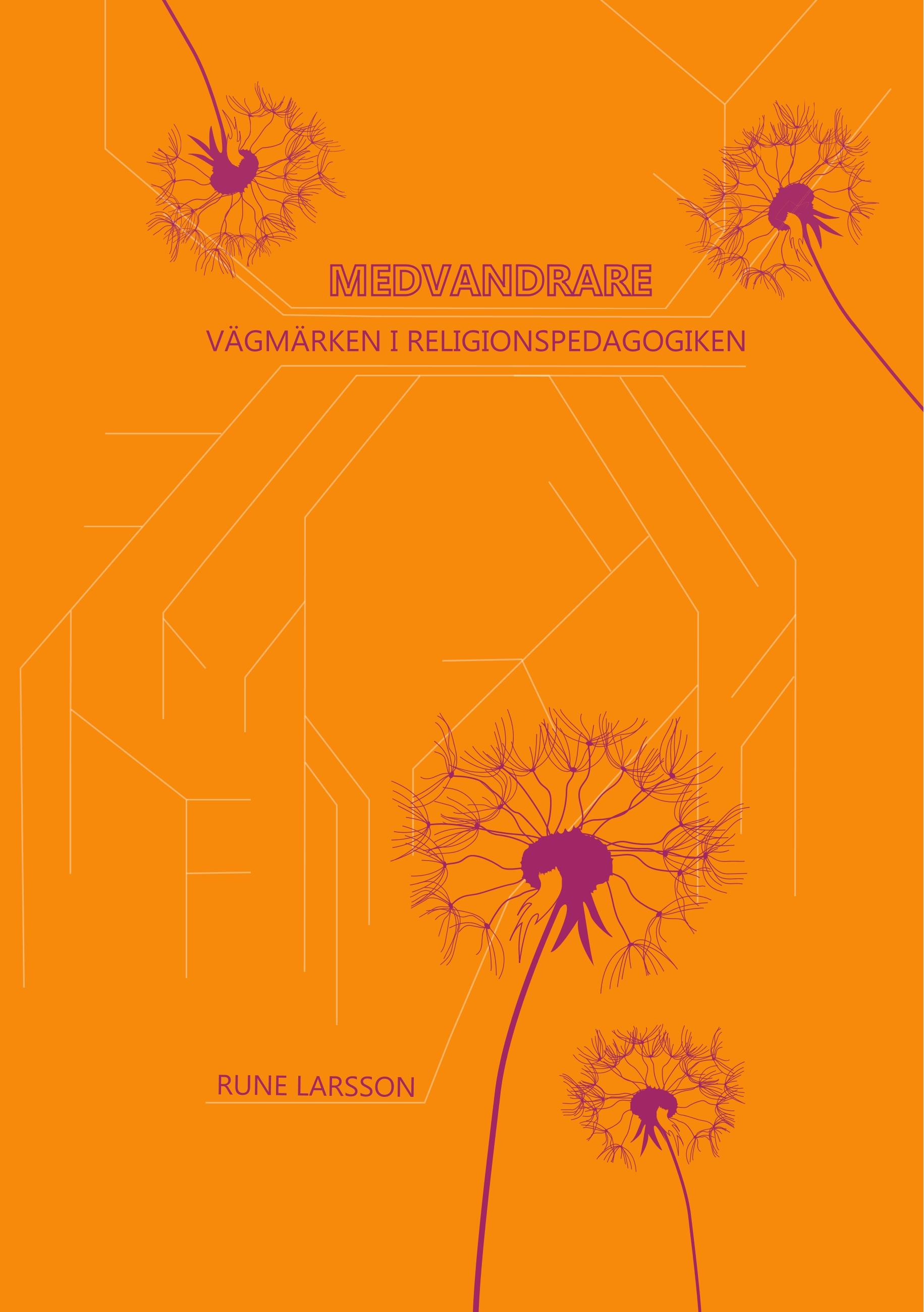 Vorderes Coverbild Medvandrare