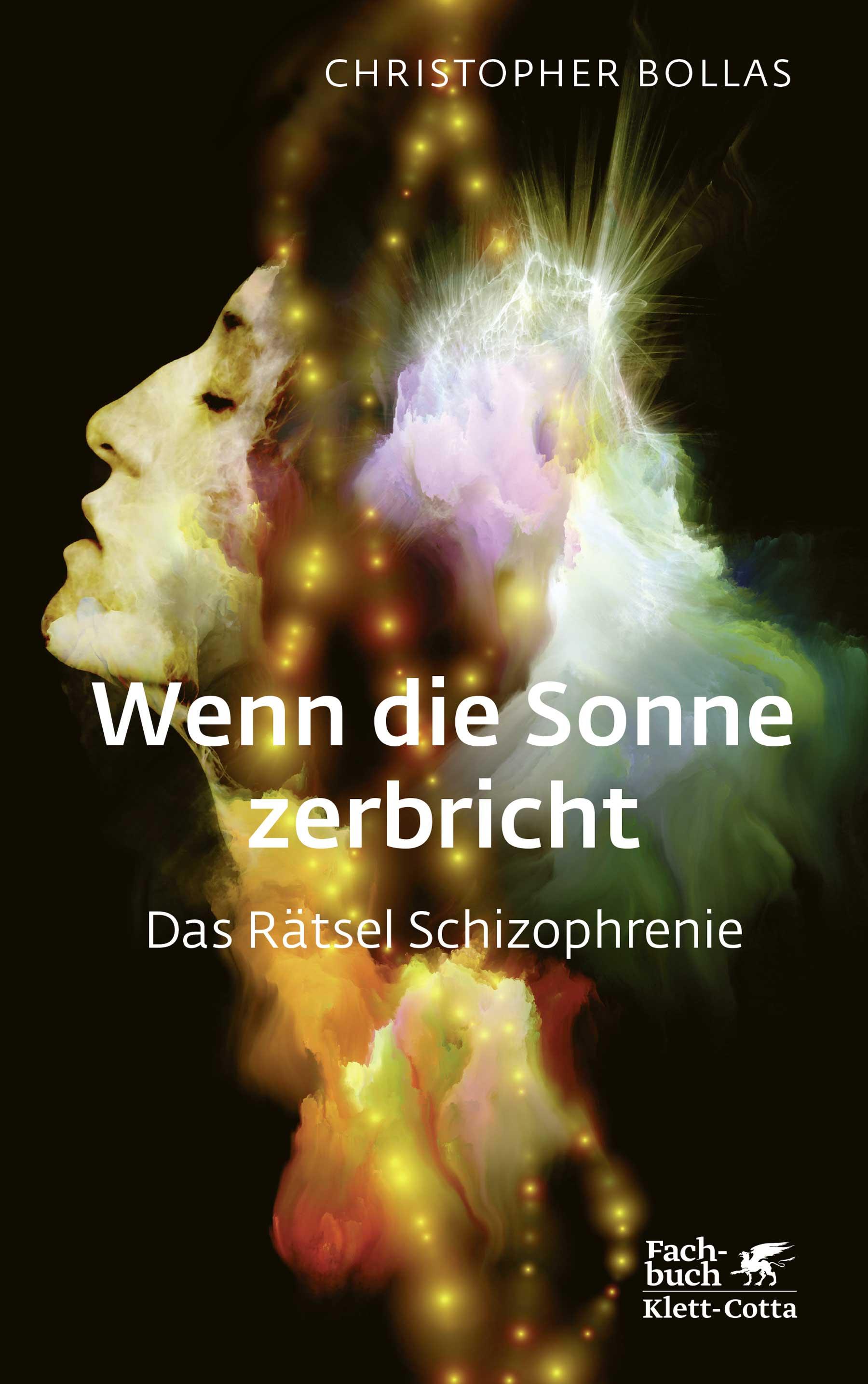 Vorderes Coverbild Wenn die Sonne zerbricht