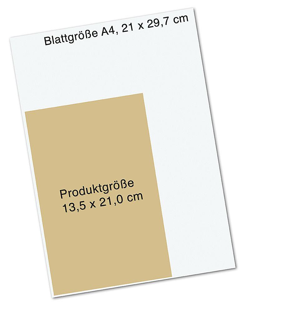 Beispielinhalt (Bild) King of Scars