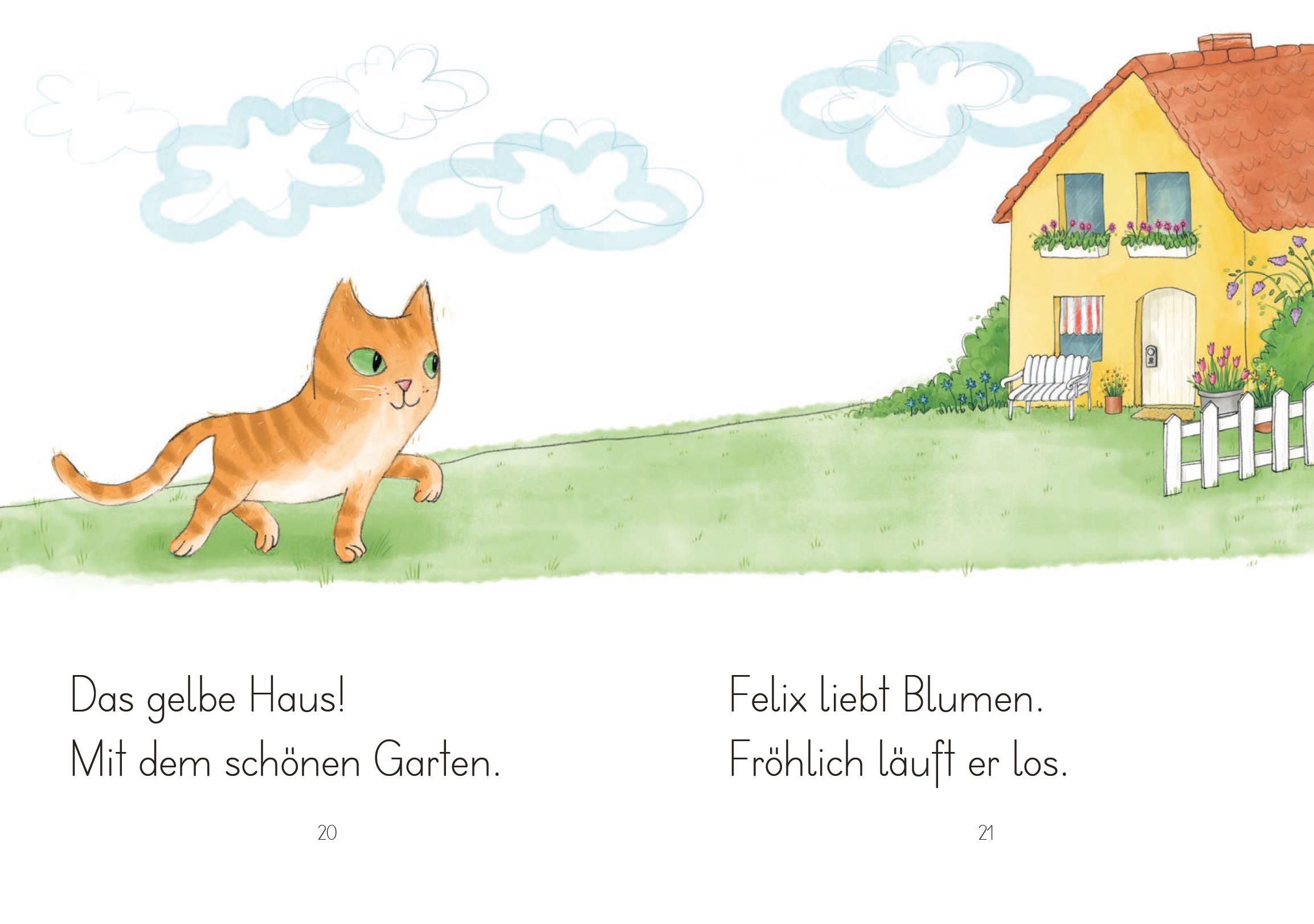 Beispielinhalt (Bild) LESEZUG/1. Klasse: Kater Felix findet ein Zuhause