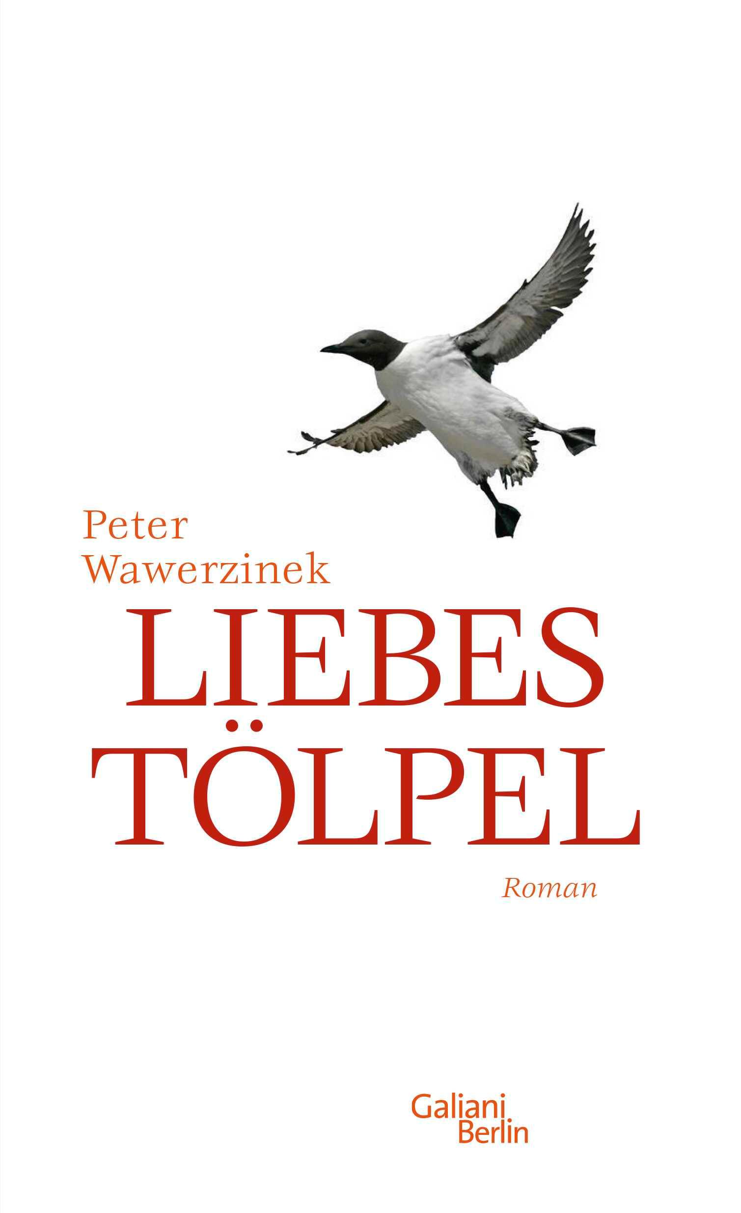 Vorderes Coverbild Liebestölpel