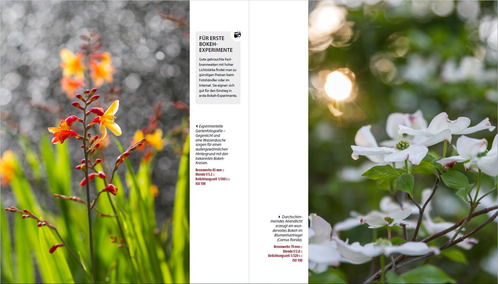 Beispielinhalt (Bild) Garten-Shooting