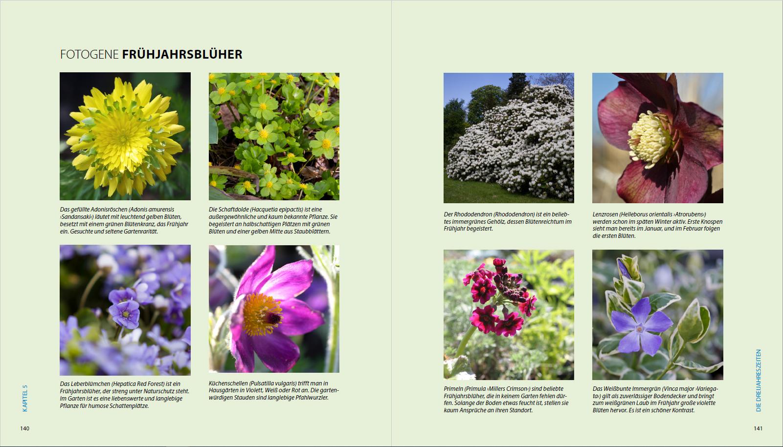 Beispielinhalt (Bild) Garten-Shooting