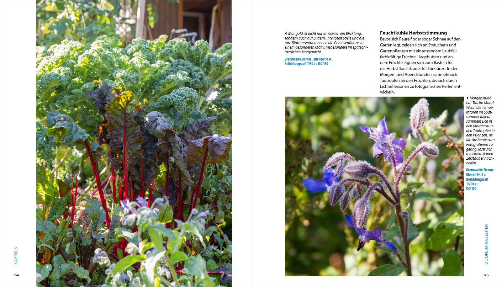 Beispielinhalt (Bild) Garten-Shooting