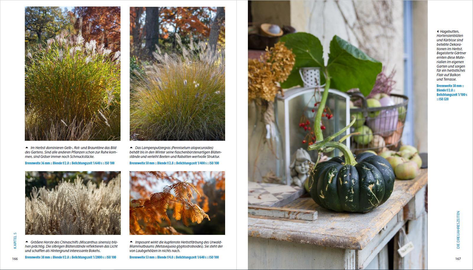 Beispielinhalt (Bild) Garten-Shooting