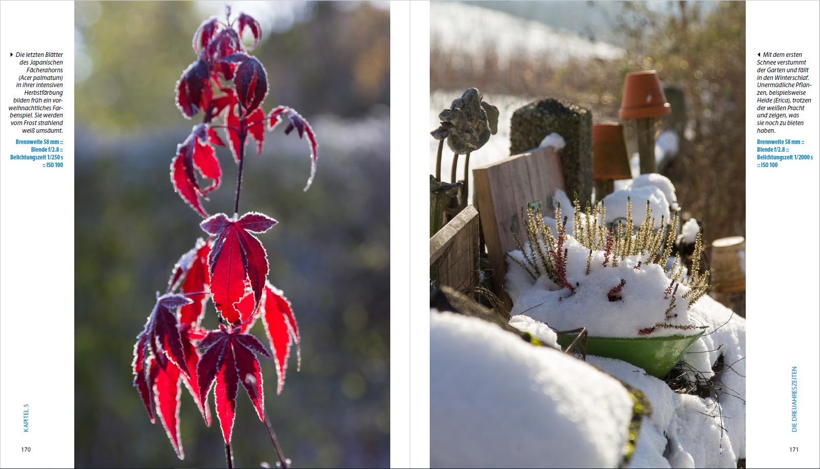 Beispielinhalt (Bild) Garten-Shooting