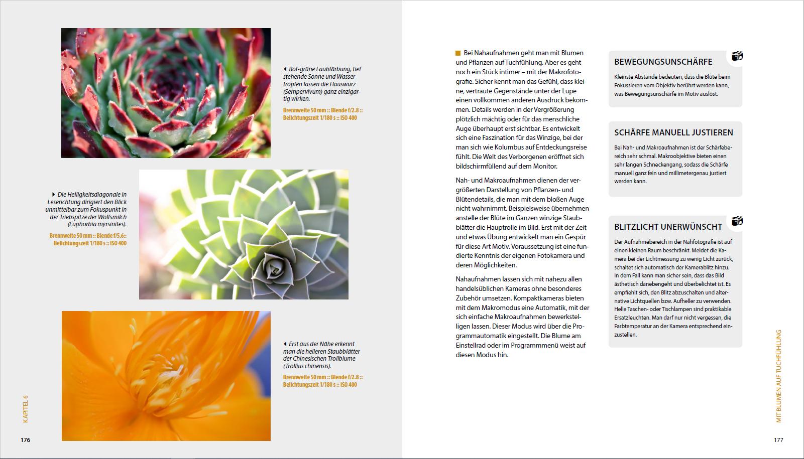 Beispielinhalt (Bild) Garten-Shooting