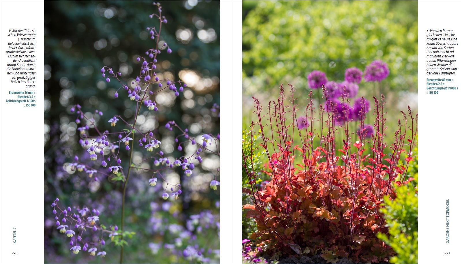 Beispielinhalt (Bild) Garten-Shooting