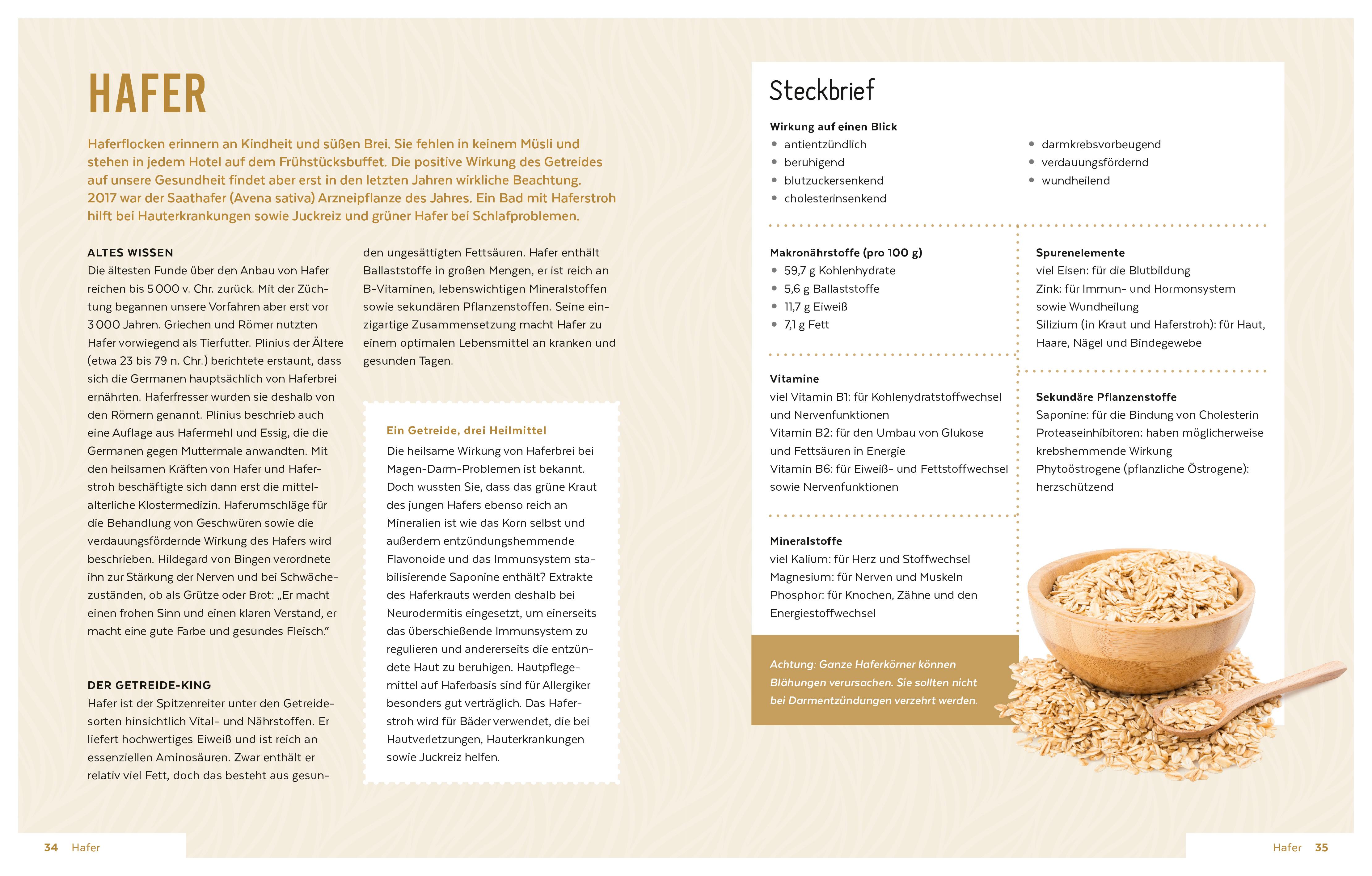 Beispielinhalt (Bild) Heilen mit Lebensmitteln: Meine Top 10 gegen 100 Krankheiten