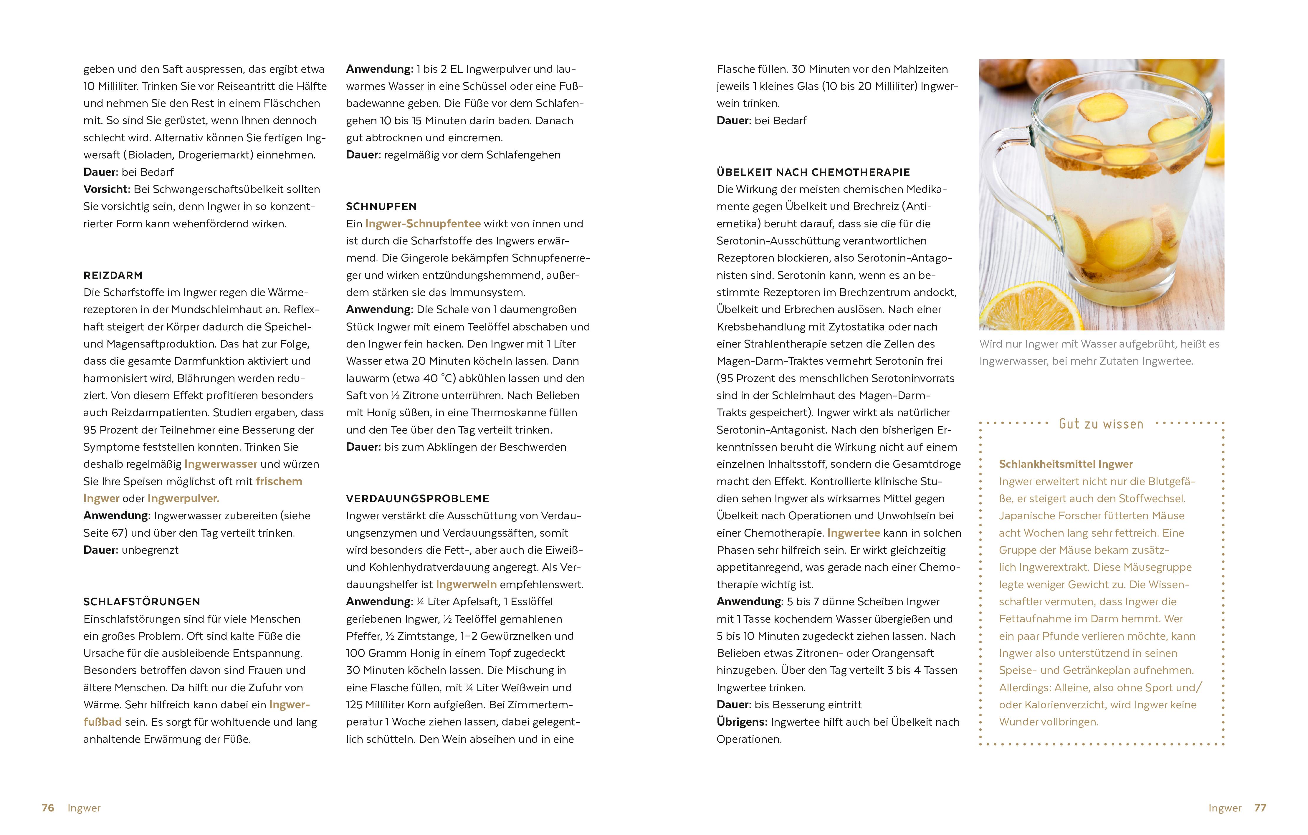 Beispielinhalt (Bild) Heilen mit Lebensmitteln: Meine Top 10 gegen 100 Krankheiten