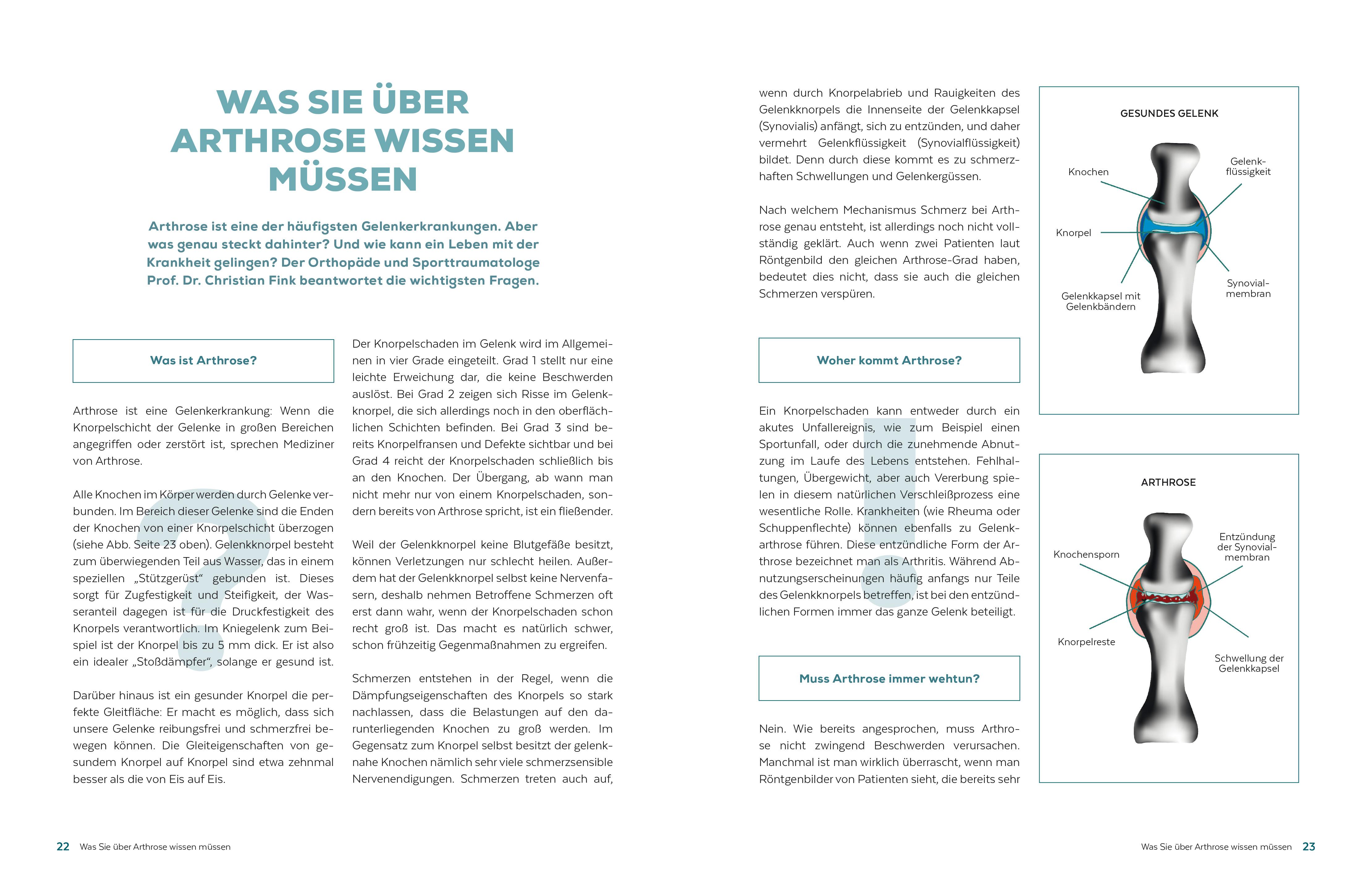 Beispielinhalt (Bild) Never give up