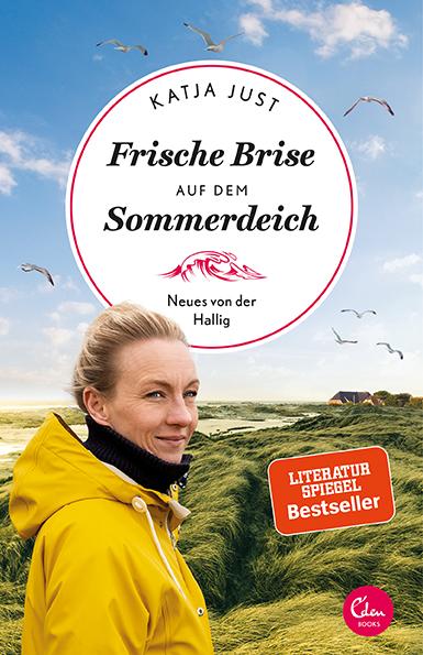 Vorderes Coverbild Frische Brise auf dem Sommerdeich