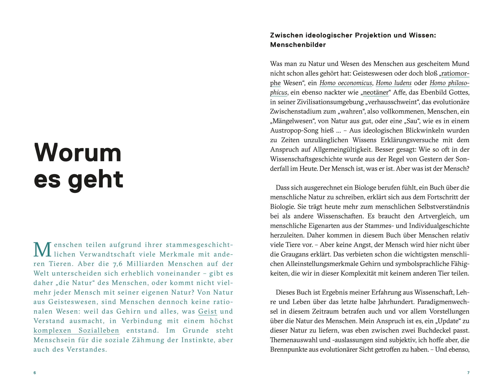 Beispielinhalt (Bild) Mensch