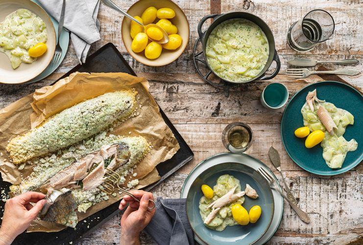 Beispielinhalt (Bild) kochen.