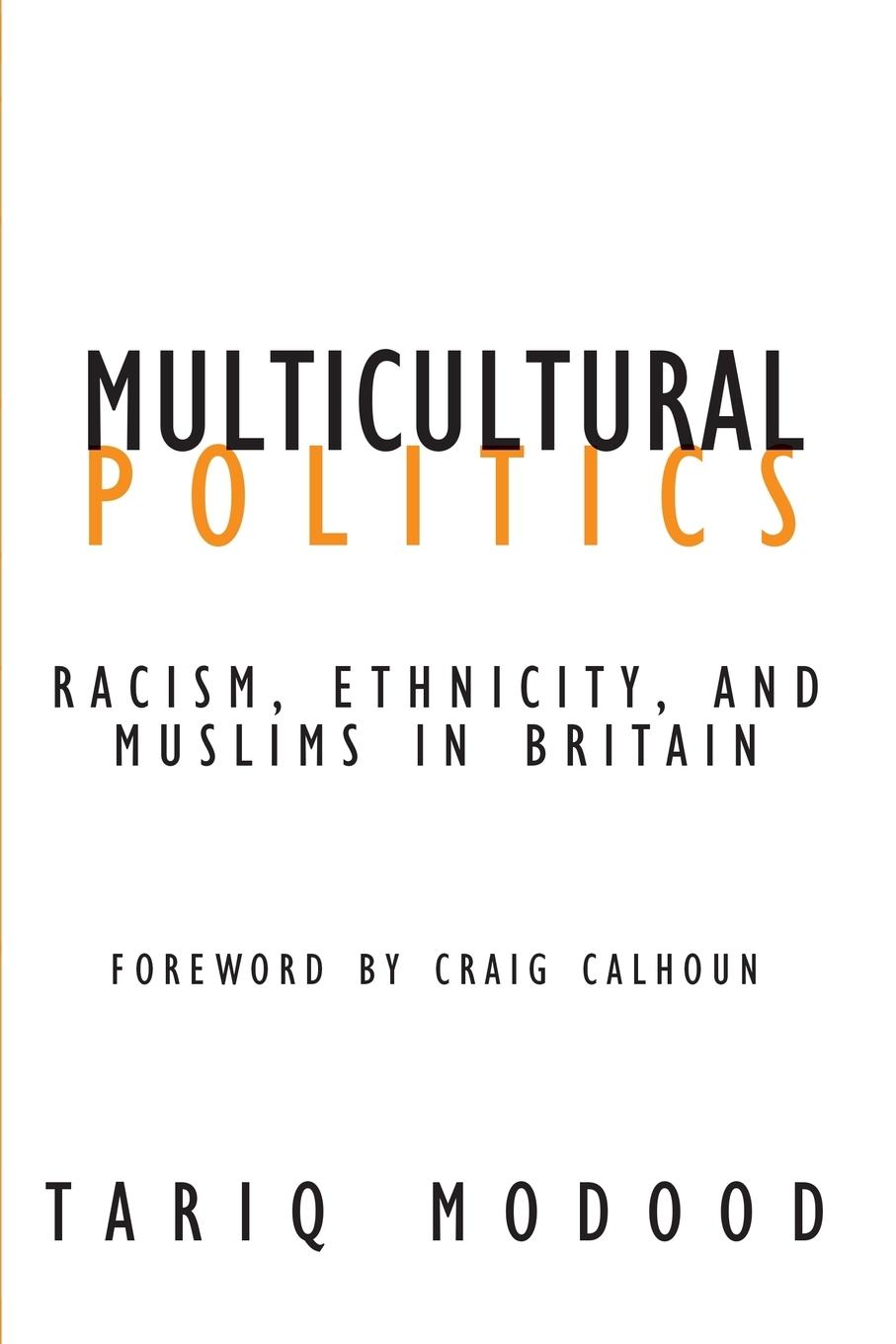 Vorderes Coverbild Multicultural Politics