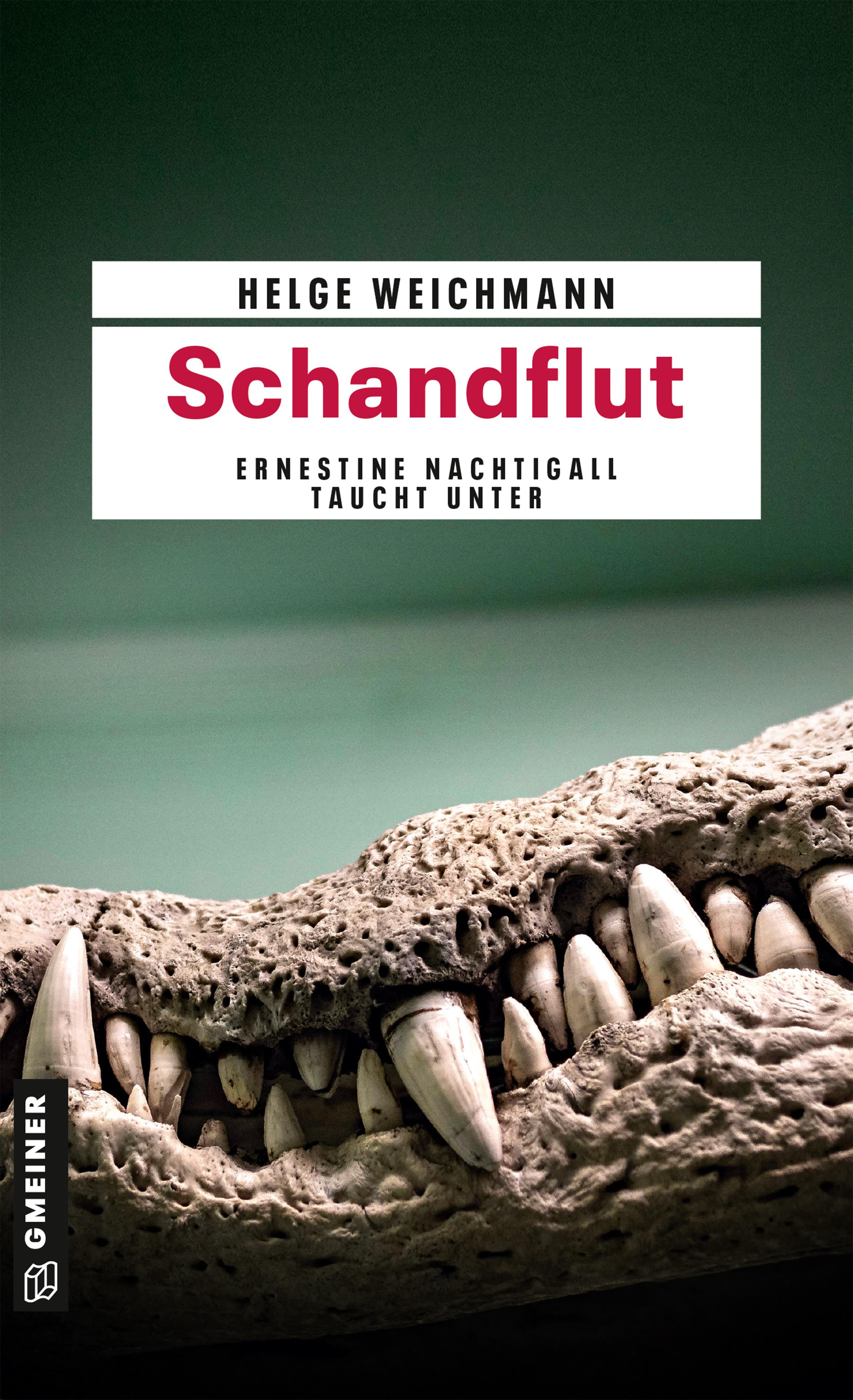 Vorderes Coverbild Schandflut