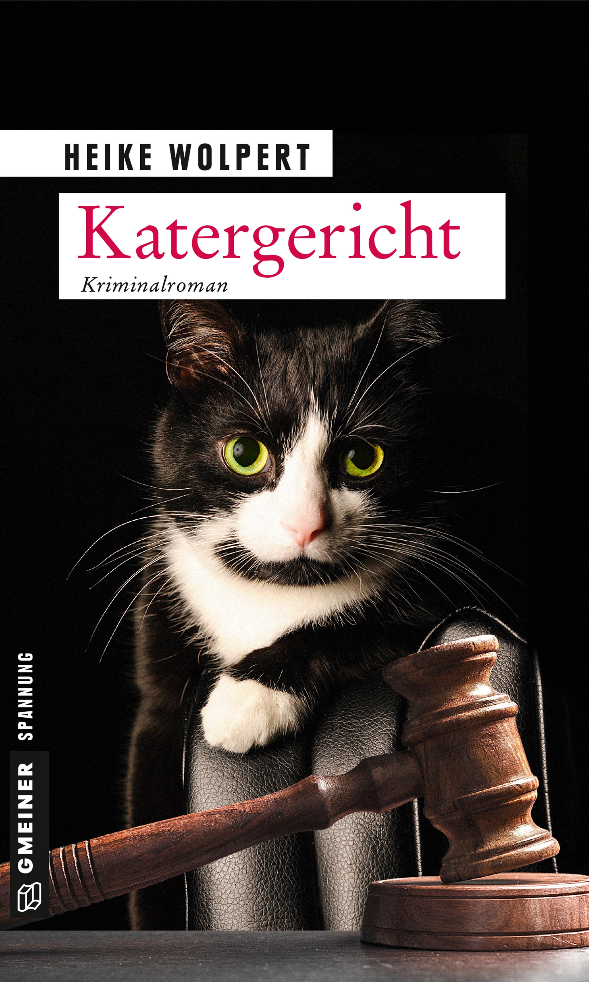 Vorderes Coverbild Katergericht