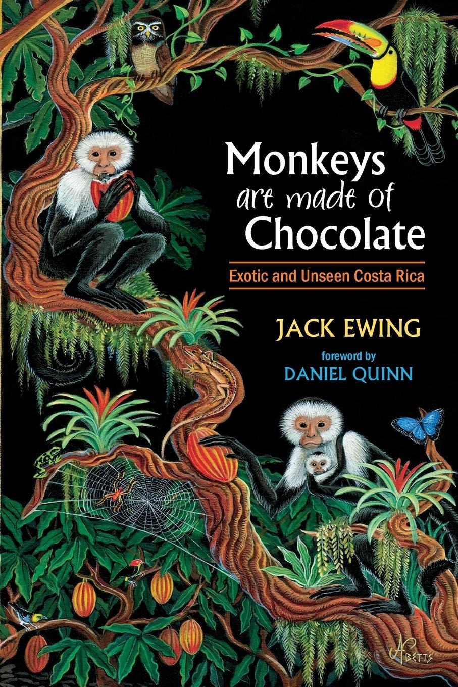 Vorderes Coverbild Monkeys Are Made of Chocolate