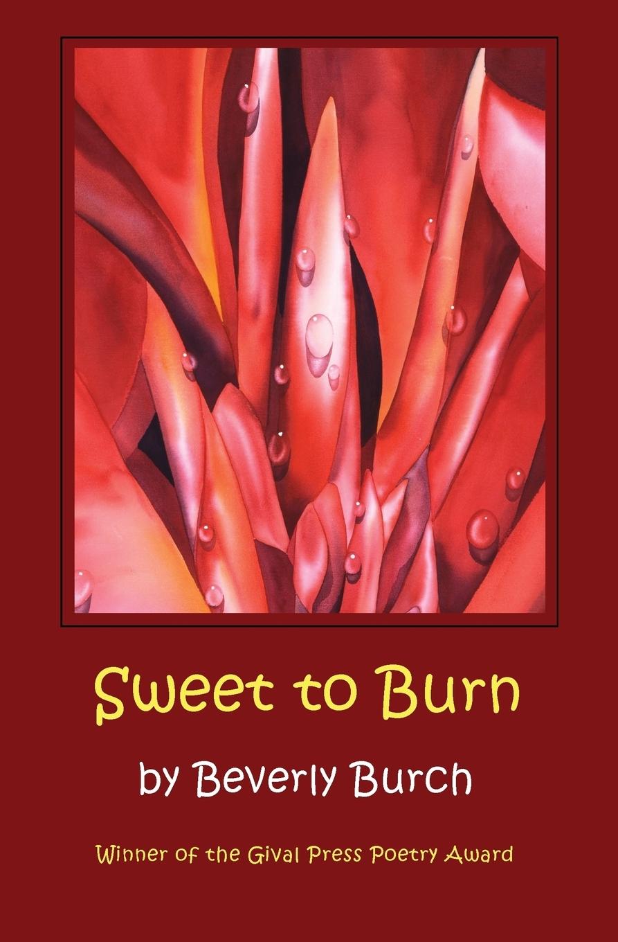 Vorderes Coverbild Sweet to Burn