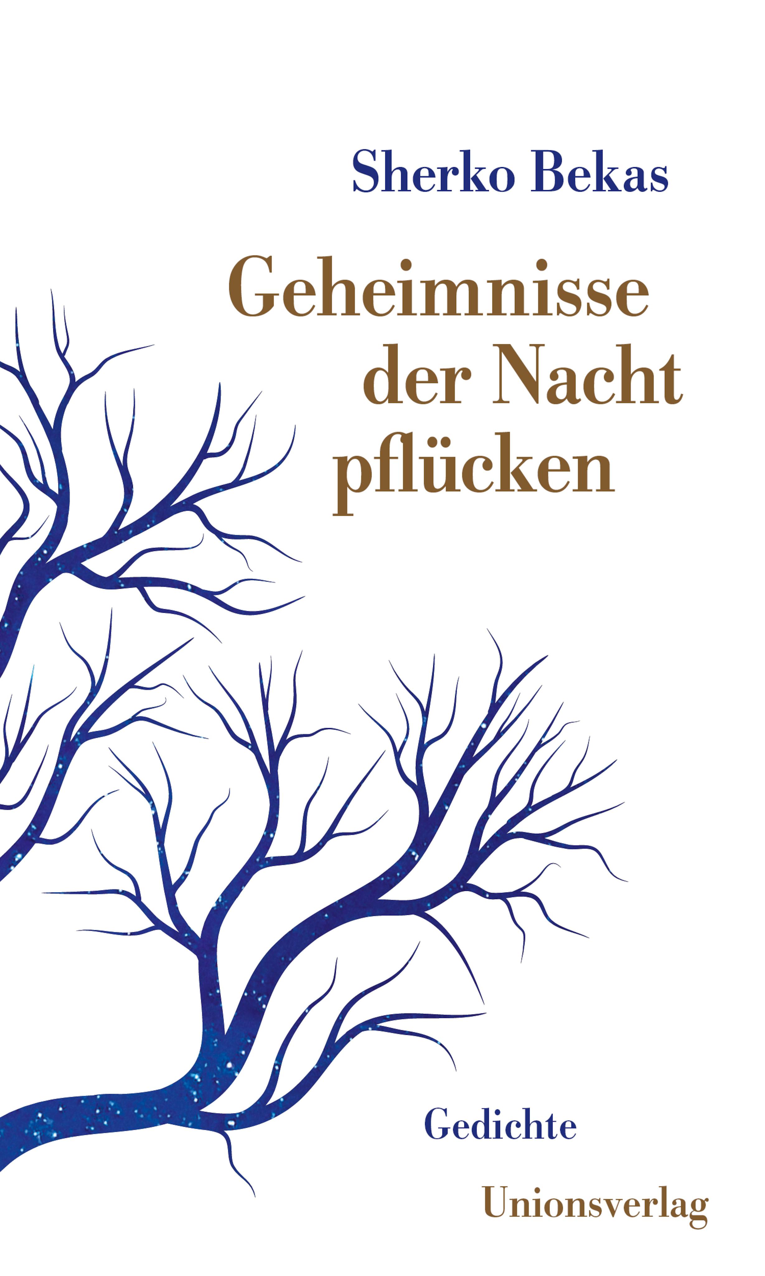 Vorderes Coverbild Geheimnisse der Nacht pflücken