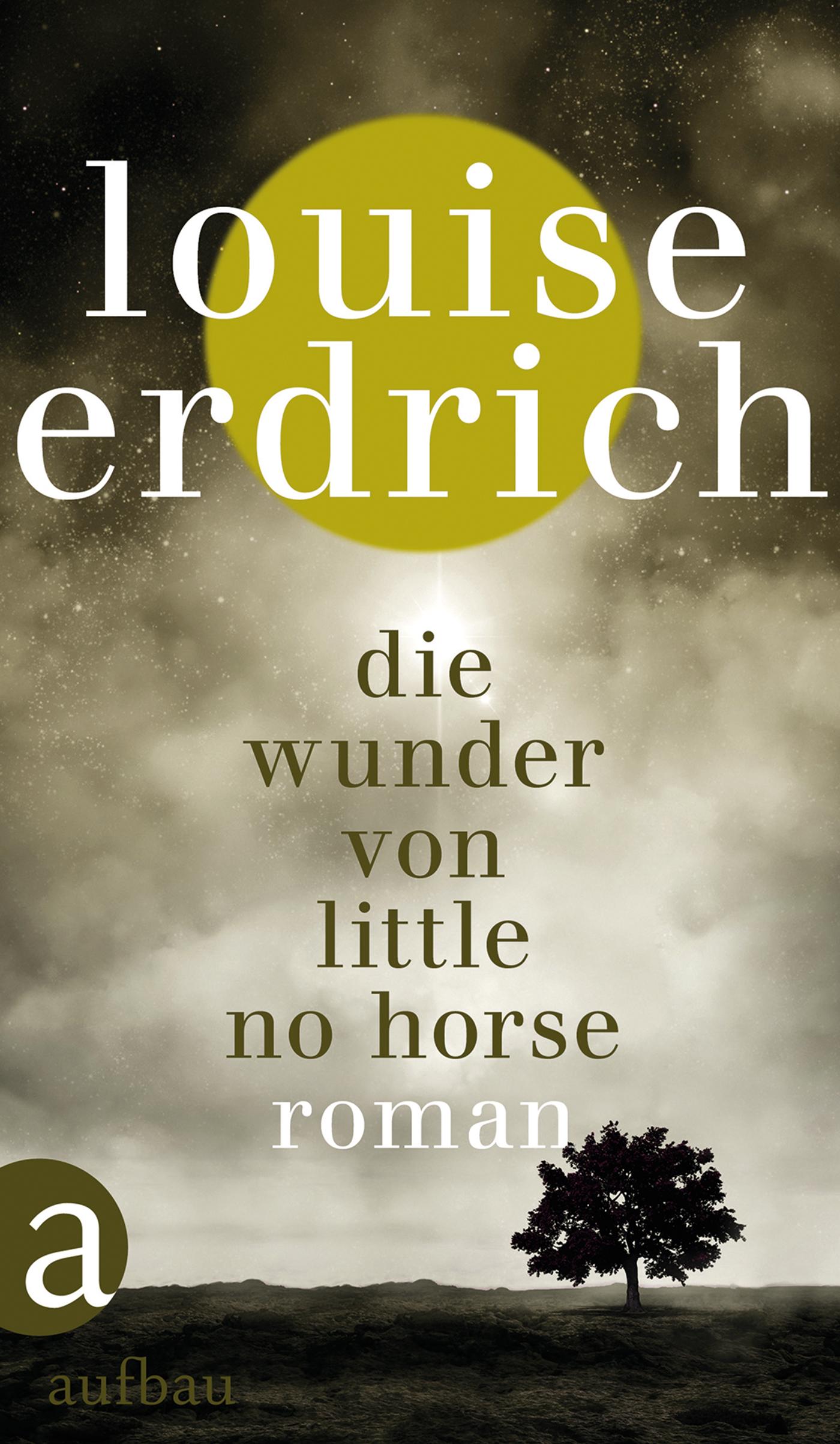 Vorderes Coverbild Die Wunder von Little No Horse