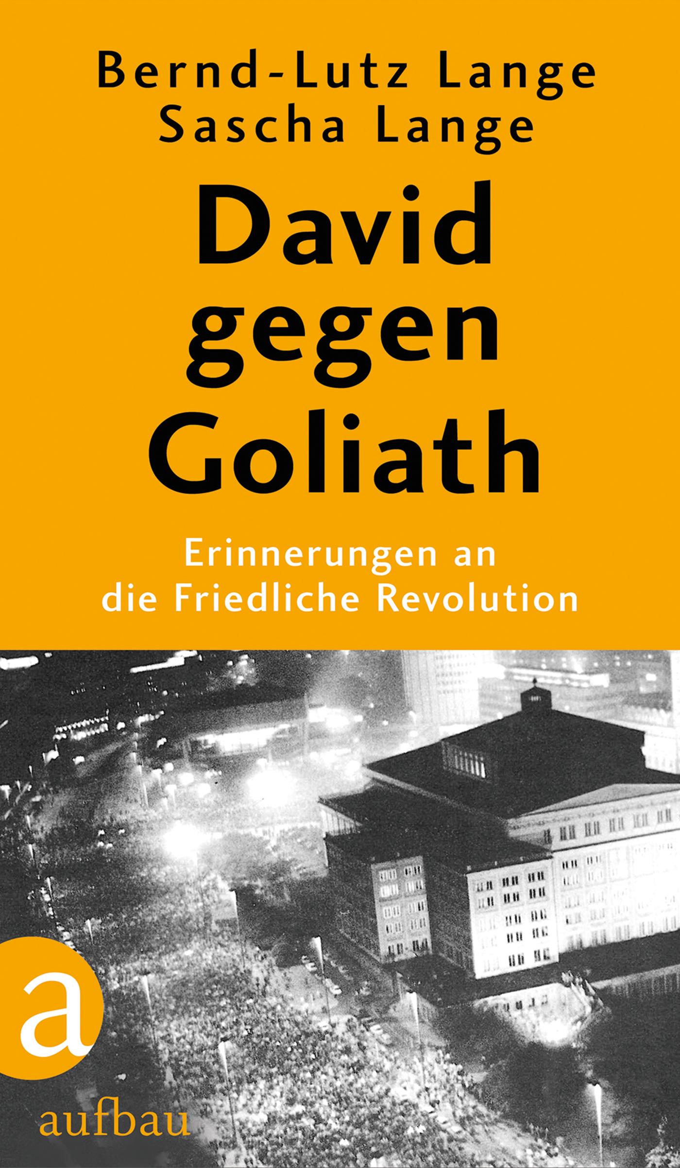 Vorderes Coverbild David gegen Goliath