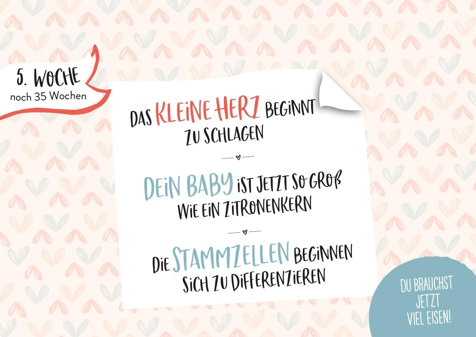 Beispielinhalt (Bild) Ein kleines Wunder wächst heran.