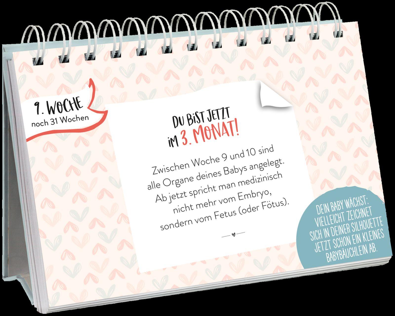 Beispielinhalt (Bild) Ein kleines Wunder wächst heran.