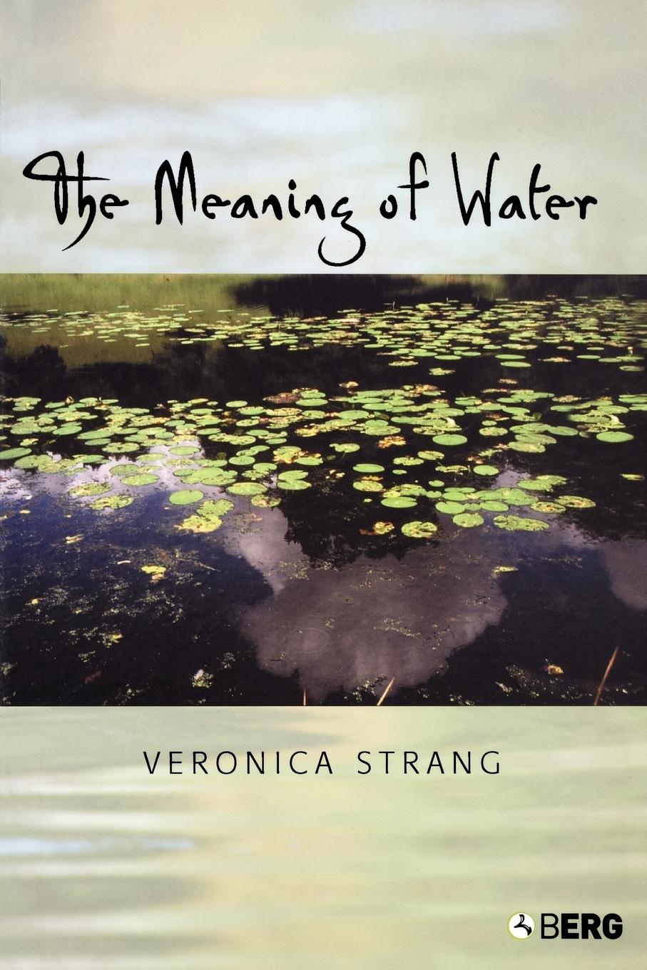 Vorderes Coverbild The Meaning of Water