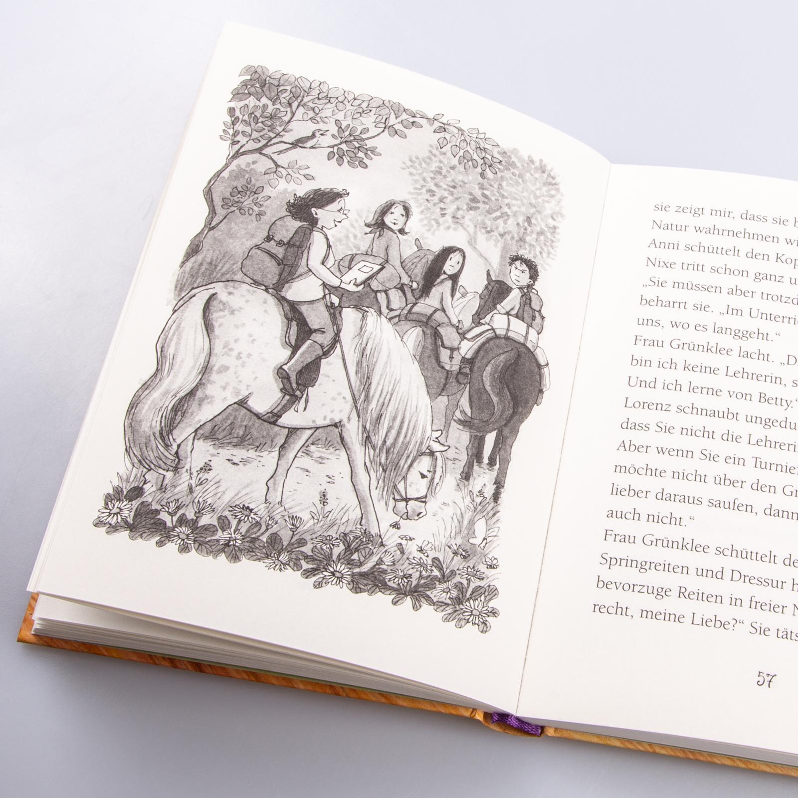 Beispielinhalt (Bild) Ponyherz 14: Ponyherz im Sturm