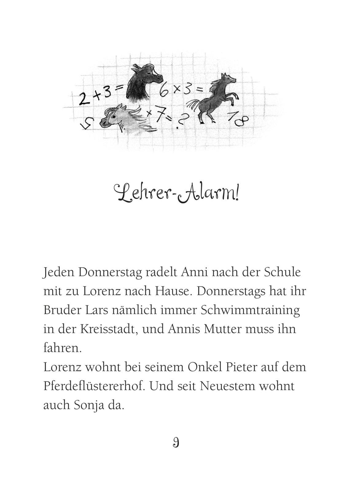 Beispielinhalt (Bild) Ponyherz 14: Ponyherz im Sturm