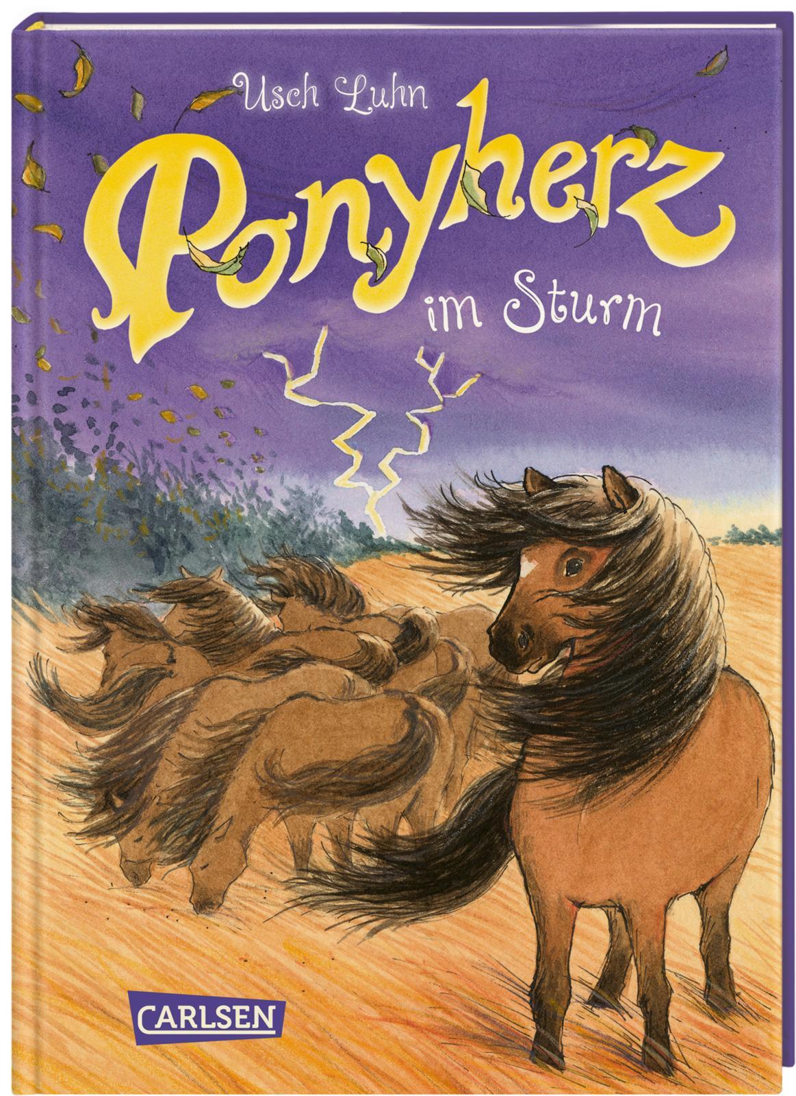 Vorderes Coverbild Ponyherz 14: Ponyherz im Sturm