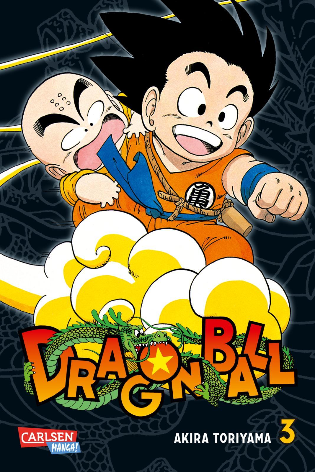 Vorderes Coverbild Dragon Ball Massiv 3