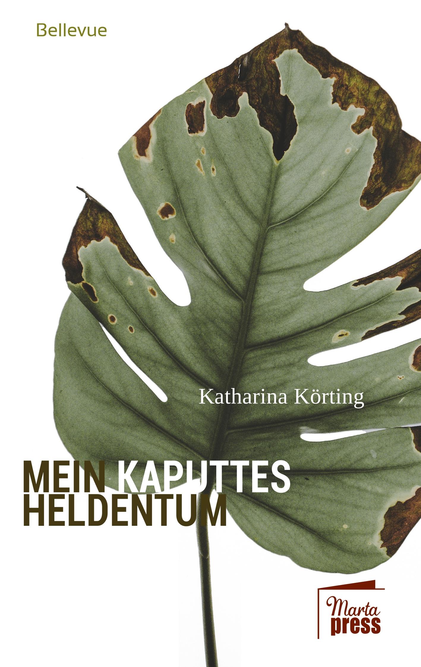 Vorderes Coverbild Mein kaputtes Heldentum