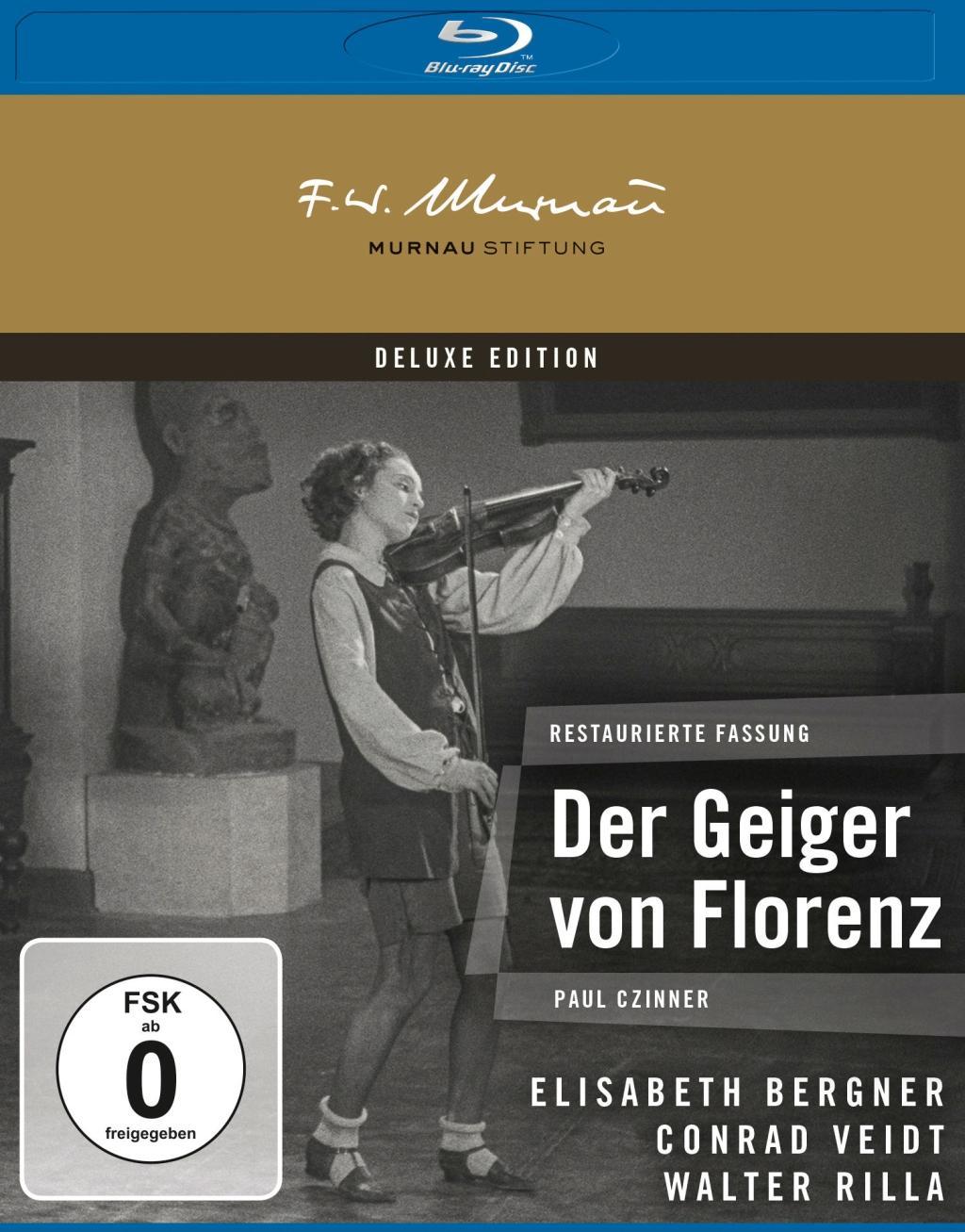 Vorderes Coverbild Der Geiger von Florenz