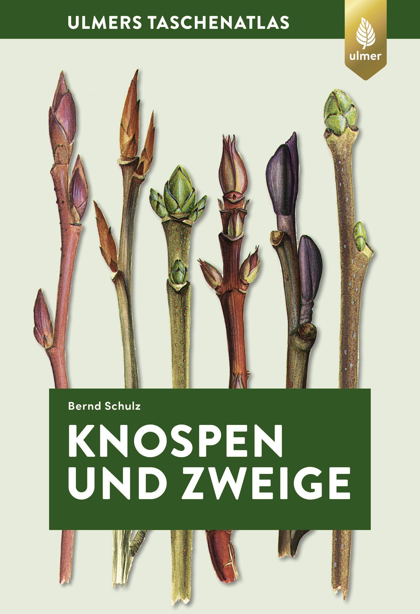 Vorderes Coverbild Knospen und Zweige