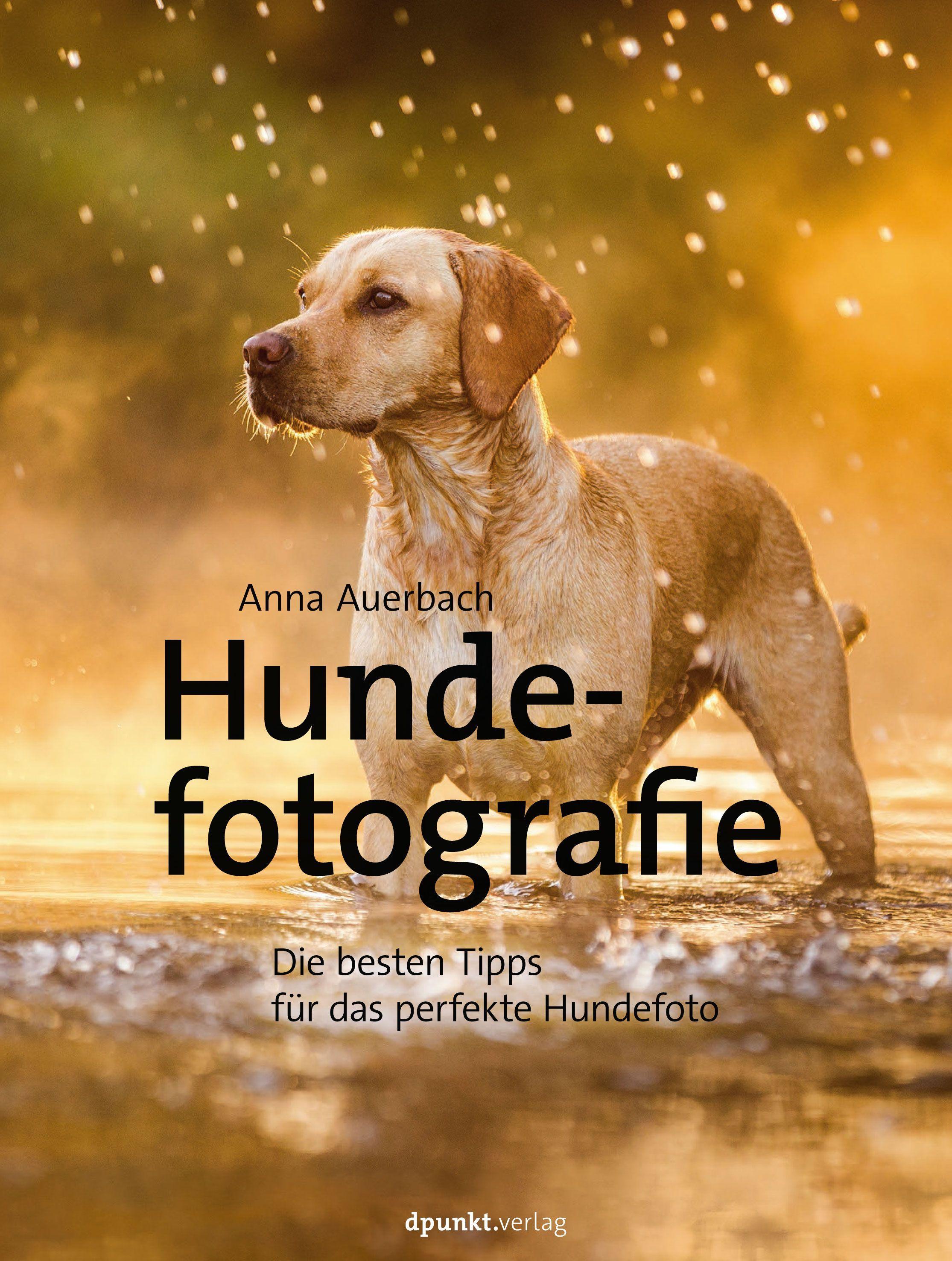 Vorderes Coverbild Hundefotografie