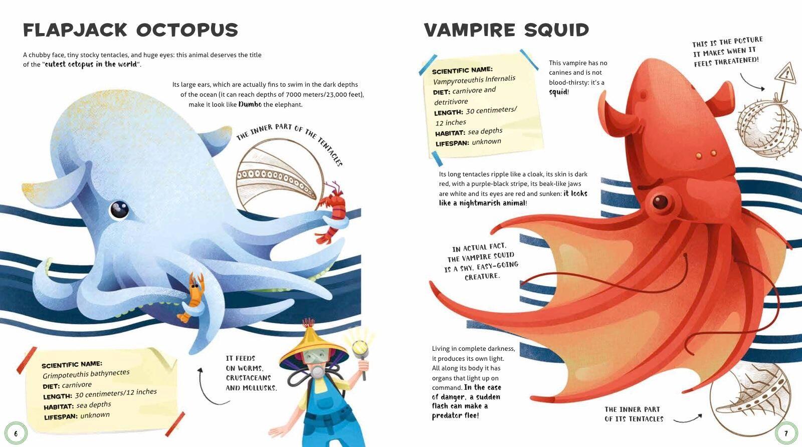 Beispielinhalt (Bild) Weird and Wonderful Animals