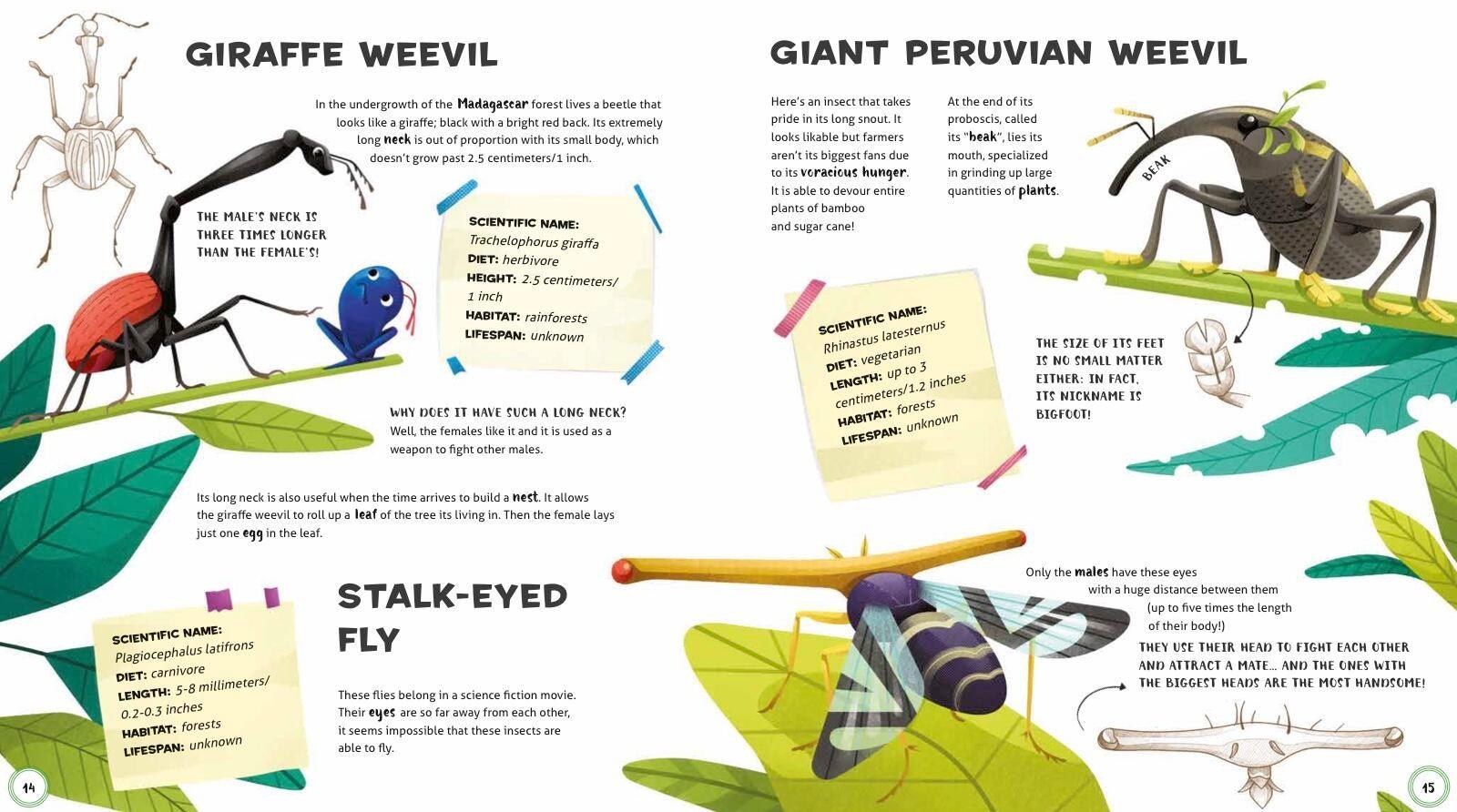 Beispielinhalt (Bild) Weird and Wonderful Animals