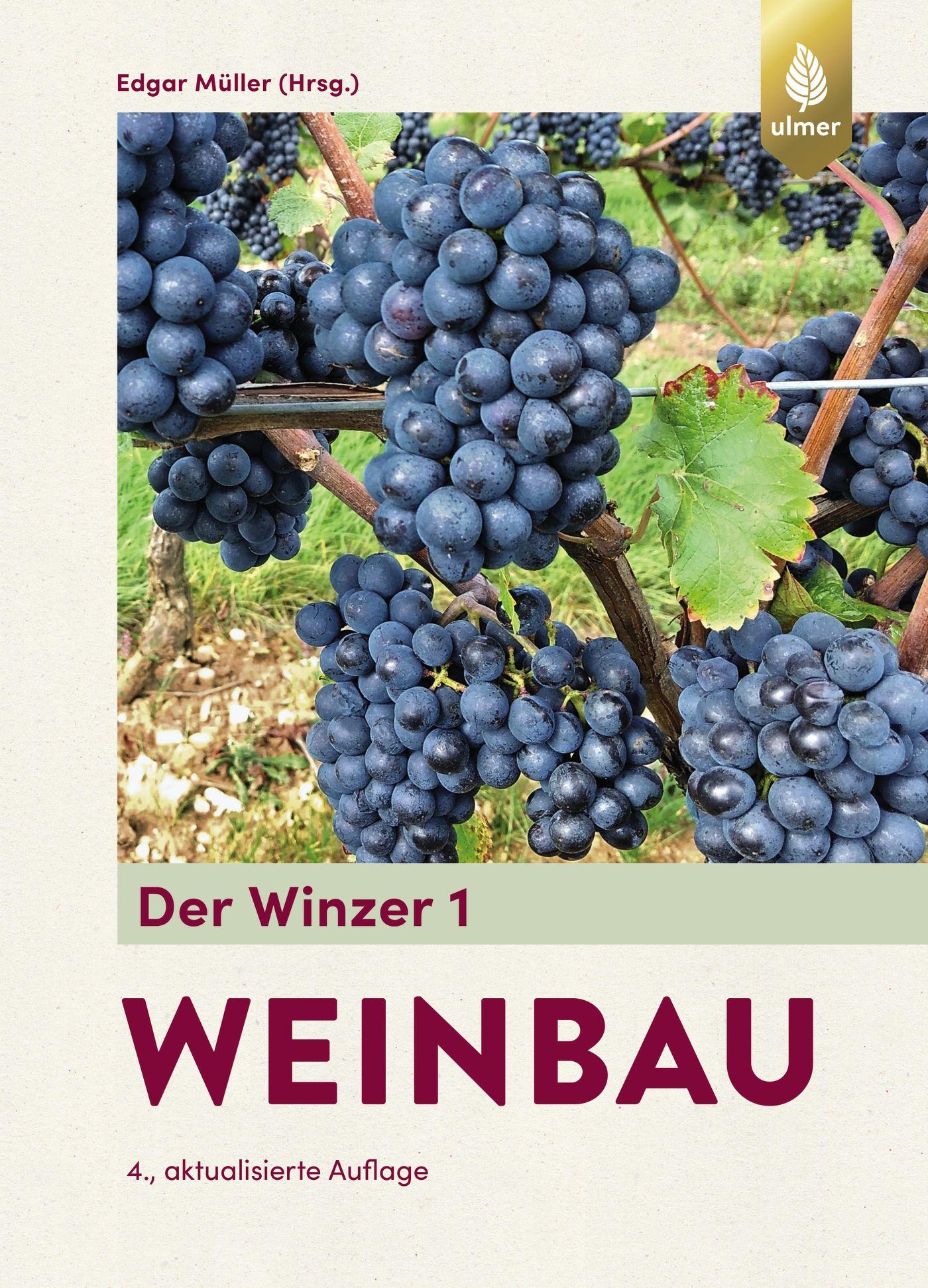 Vorderes Coverbild Der Winzer 1